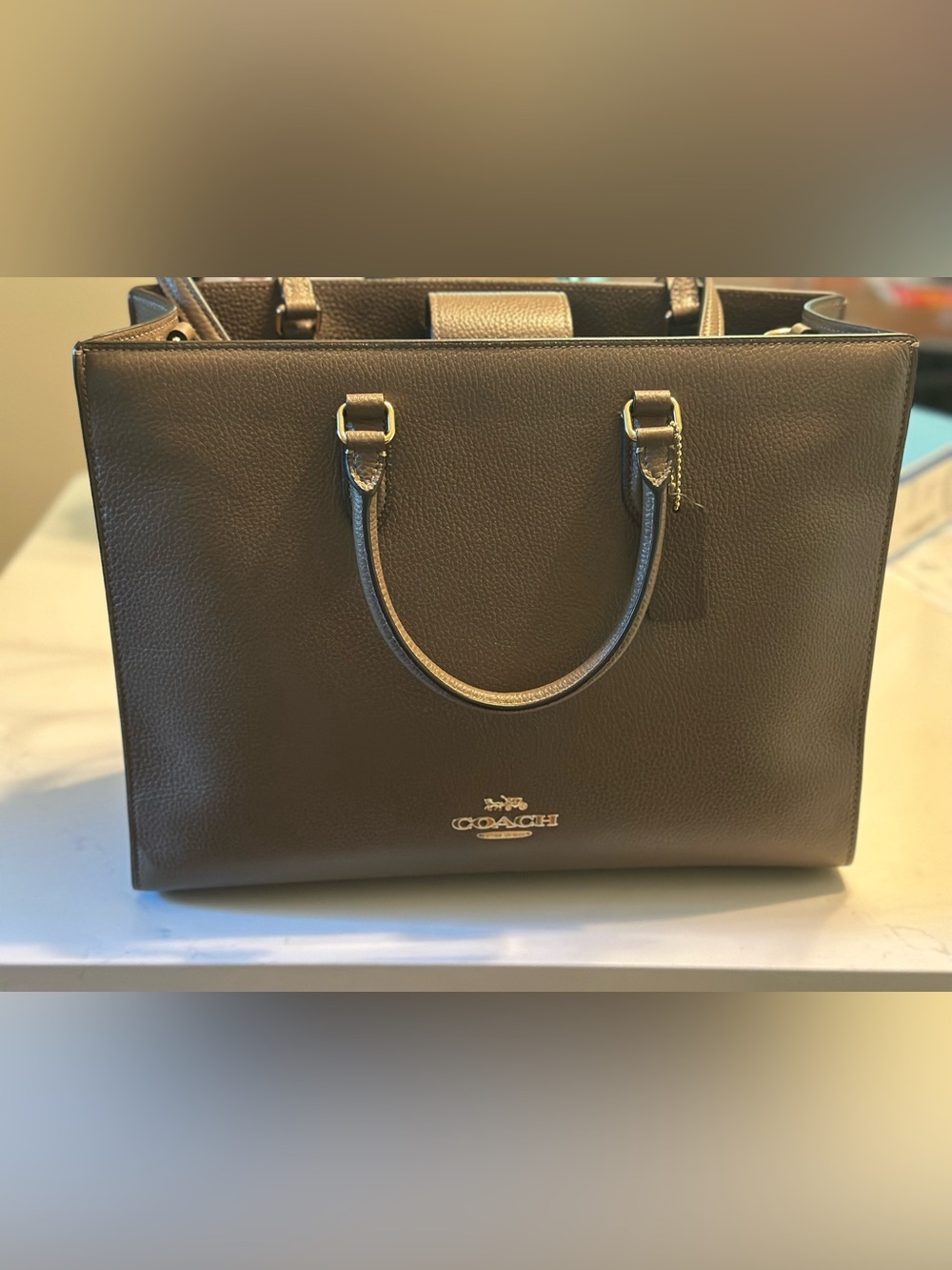 Coach Maggie Tote Bag - Picture 4 of 6